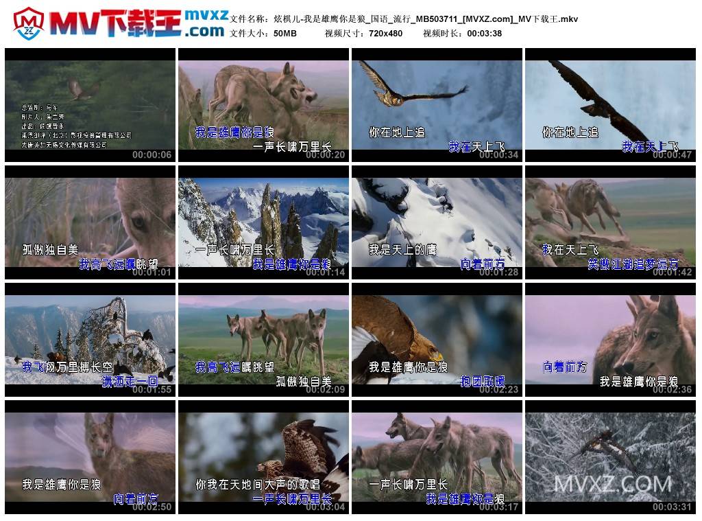 炫棋儿-我是雄鹰你是狼_国语_流行_MB503711